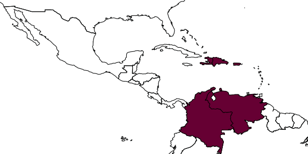 map of Anagyrus coccidivorus     Dozier, 1932